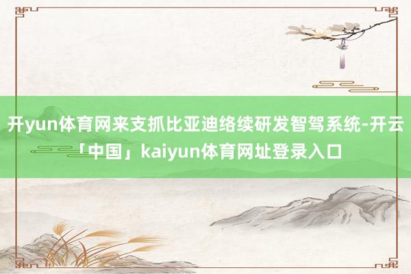 开yun体育网来支抓比亚迪络续研发智驾系统-开云「中国」kaiyun体育网址登录入口